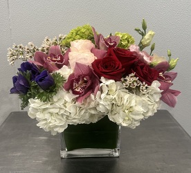 Rac's Cupid Rac's Cupid