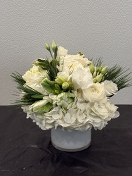 Racs White and green Racs White and green